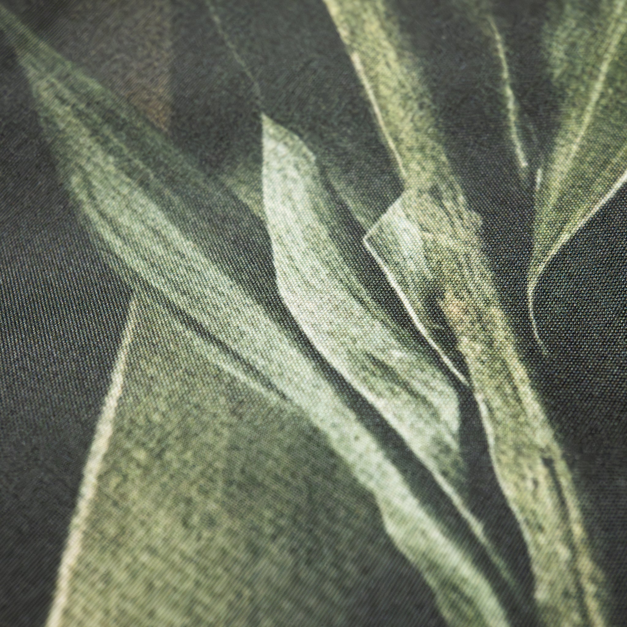 HappyBed Pillowcase | Jungle Majesty | Set of 2 | Microfiber