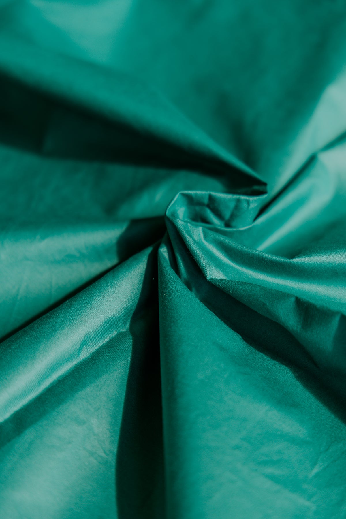Taies d’oreiller | Duvet de plumes | Jungle profonde | Lot de 2