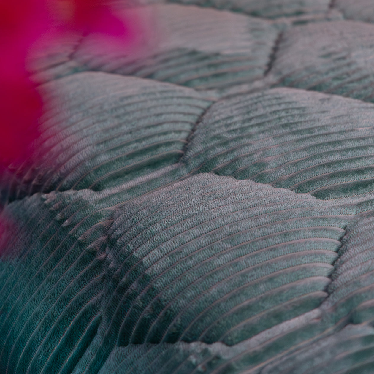 HappyBed Edredón | Felpa de canalé verde salvia | Para todo el año