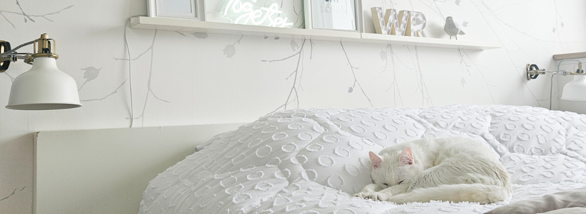 De Voordelen van een Minimalistische Slaapkamer met een Hoesloos Dekbed