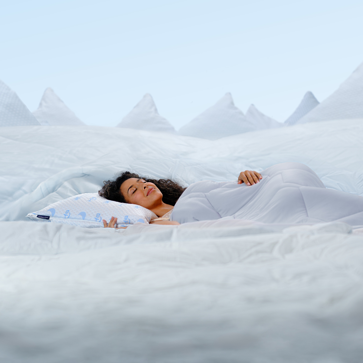 HappyBed Premium Pillow (Buy 1 Get 1 Free)