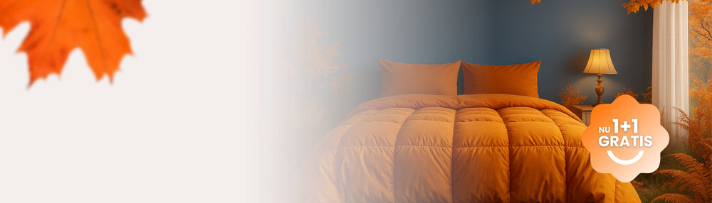 Discover the HappyBed Black Friday month with 1 1 FREE WHILE SUPPLIES