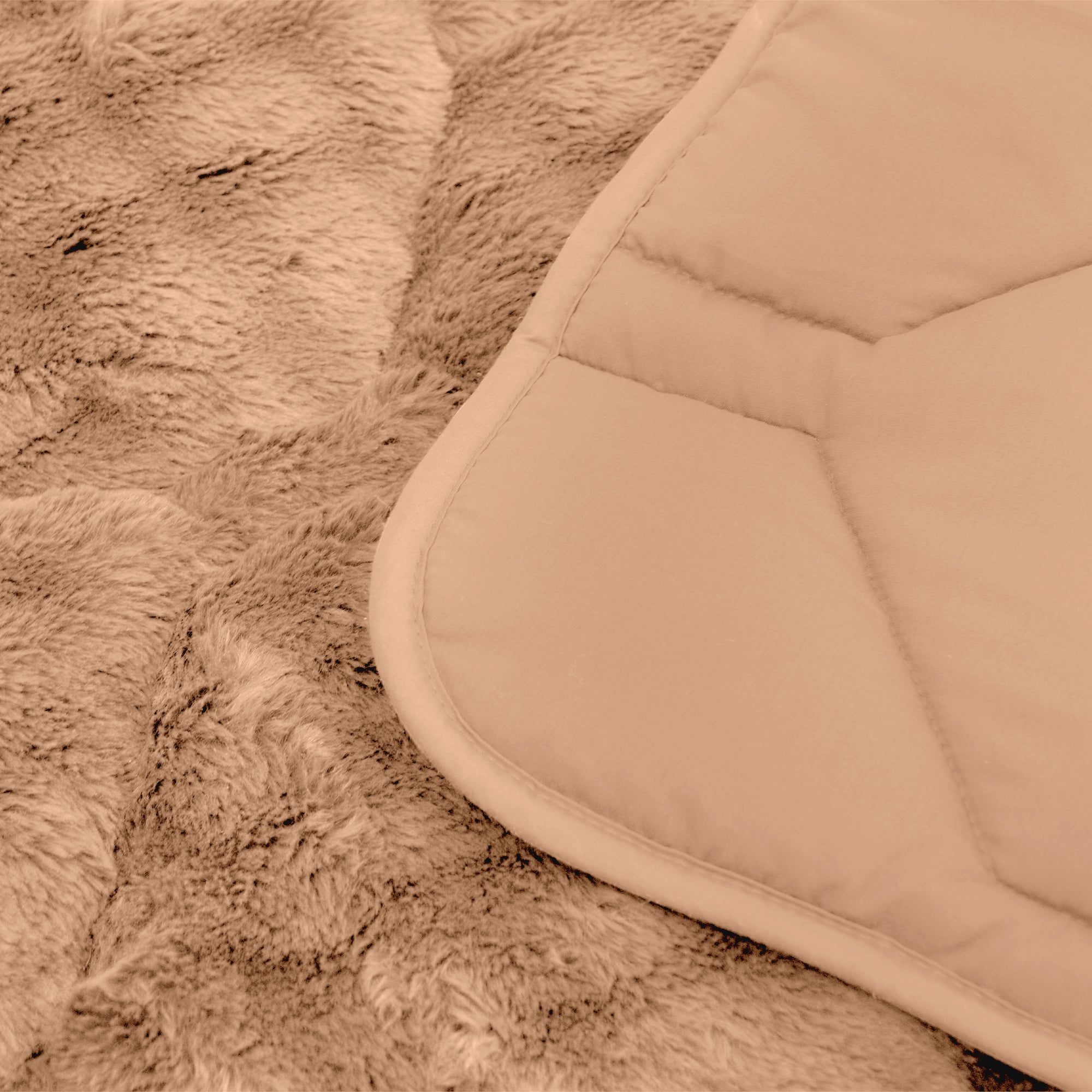 HappyBed Bettdecke | Plüsch Taupe | Für das ganze Jahr | Teddy