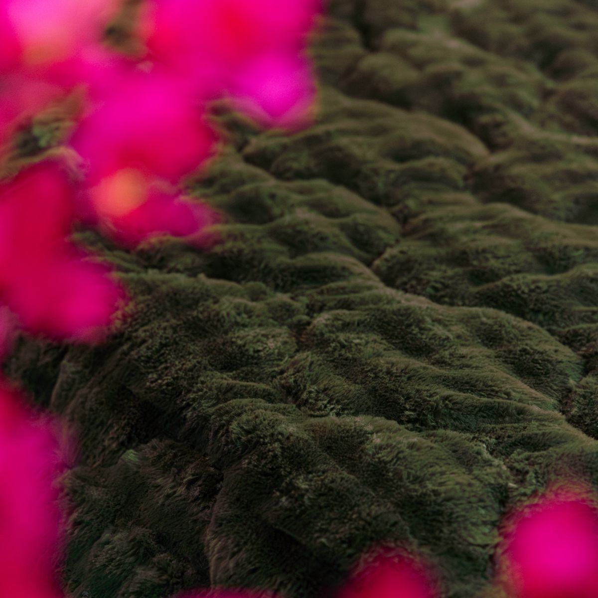 HappyBed Dekbed | Teddy Plush Dark Green | Voor het hele jaar